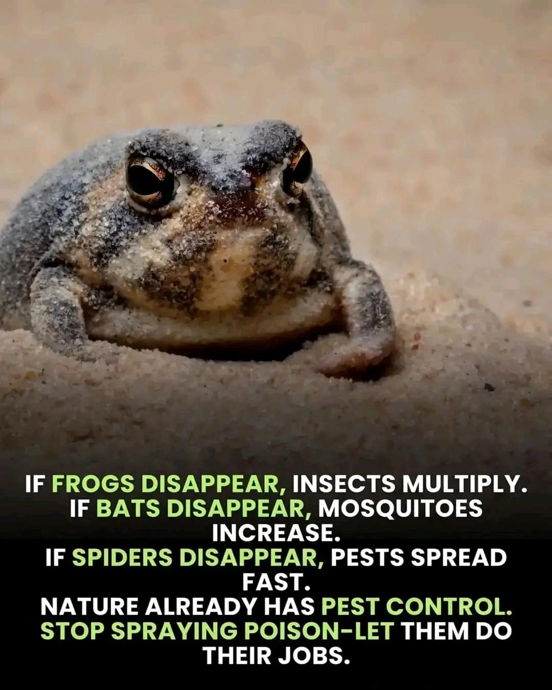 Let's conserve the environment