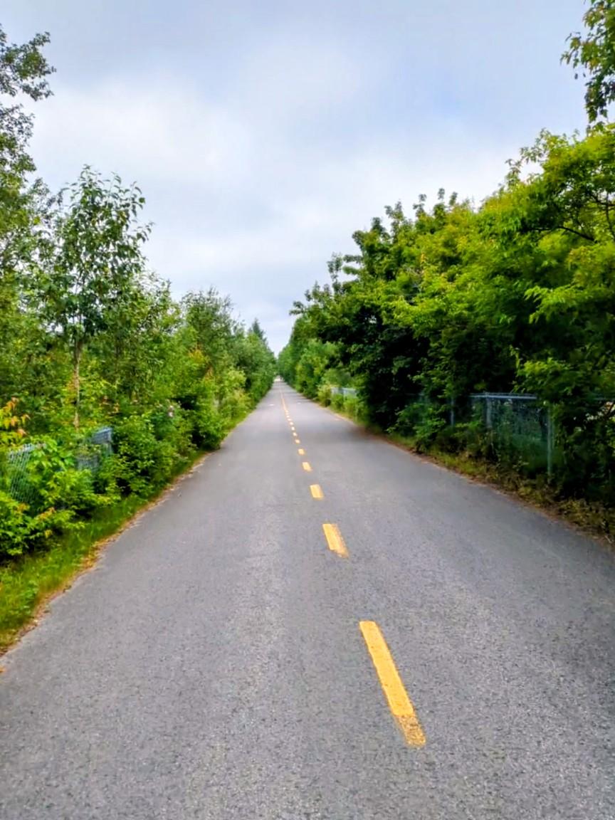 A straight and very long bike path with smooth asphalt surrounded by trees and bushes.