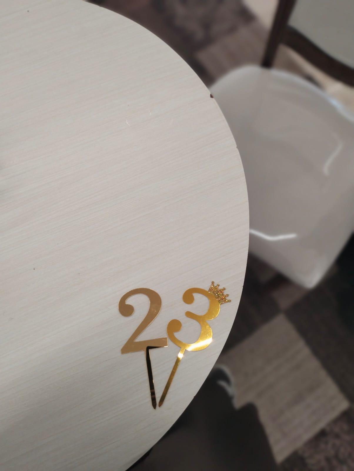The number "23" and a small crown on top of the 3, placed on a white circular surface.