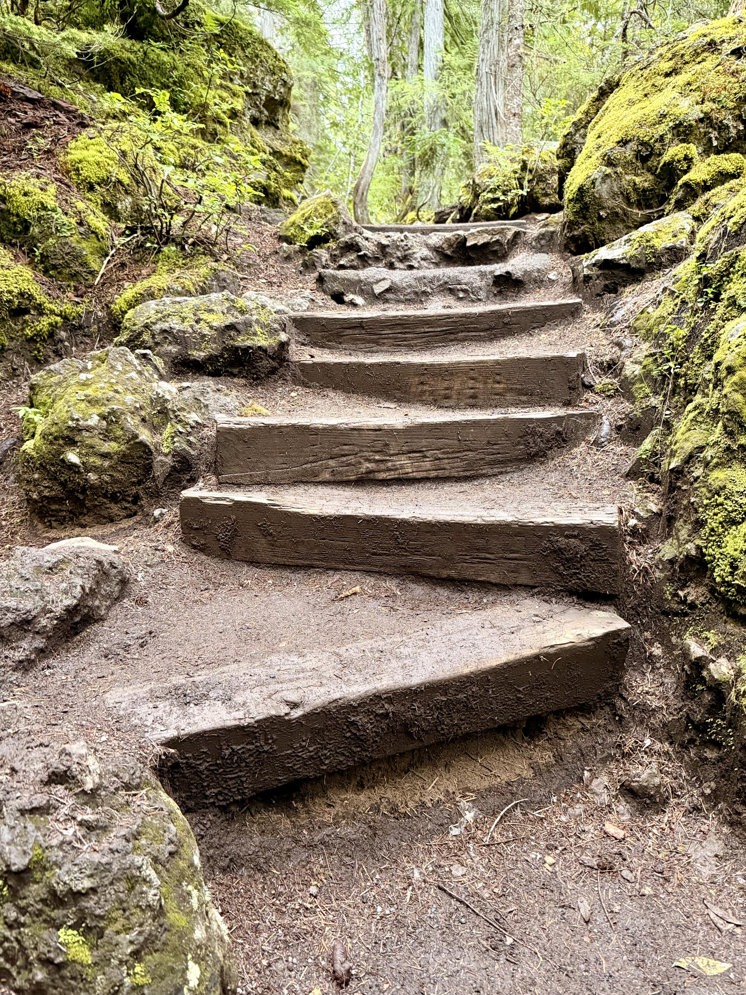 Rough trail with wooden steps surrounded by moss-covered rocks and lush green trees in a forest.