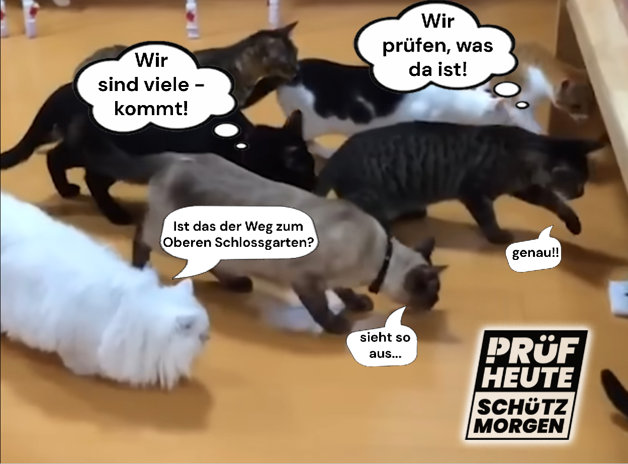 Einige Katzen schnuppern am Boden und gehen alle miteinander unter eine Kommode. In den Denkblasen "Wir sind viele - kommt!" "Wir prüfen, was da ist!" In Sprechblasen "Ist das der Weg zum Oberen Schlossgarten?" "Sieht so aus..." "genau!"
Unten rechts ist das Logo von PRÜF
"PRÜF
HEUTE
SCHÜTZ
MORGEN"
Das "P" von PRÜF besteht aus einem Ausrufezeichen und einem passenden Bogen am oberen Ende.
