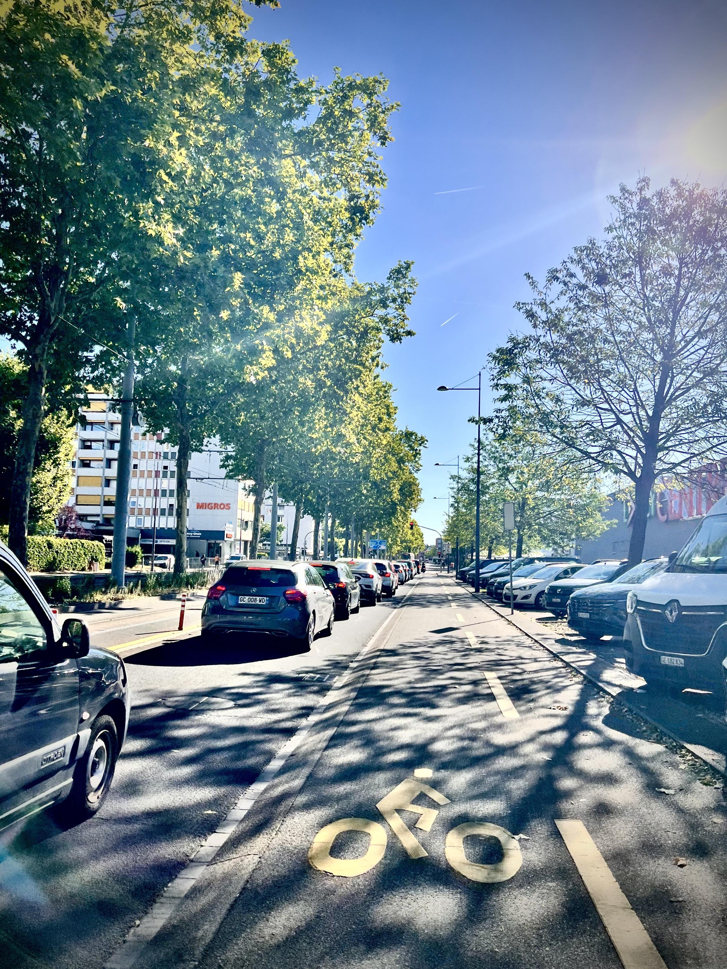 ‎⁨Lancy Centre⁩, ⁨Petit-Lancy⁩, ⁨Canton of Geneva⁩, ⁨Switzerland⁩

A sunlit city street features a dedicated bike lane in the foreground marked with a painted yellow bicycle symbol, covered in dappled shadows from adjacent trees. On the left, a line of cars is queued in traffic, while a row of angled parked vehicles lines the right side under a clear, bright blue sky.
