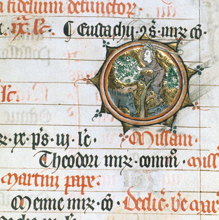 Medieval manuscript illustration of a man striking a tree to make the nuts fall to the ground where three pigs are eating them.