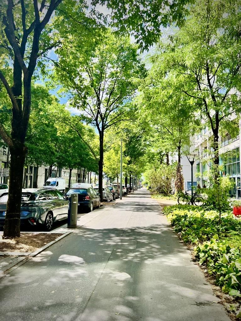 ‎⁨Lyon⁩, ⁨Auvergne-Rhône-Alpes⁩, ⁨France⁩

A straight, paved pedestrian path is lined on both sides by tall, leafy green trees that cast dappled shadows on the ground. On the left, a row of parked cars sits parallel to the path, while on the right, a landscaped green garden bed borders a modern glass-fronted building under bright daylight.