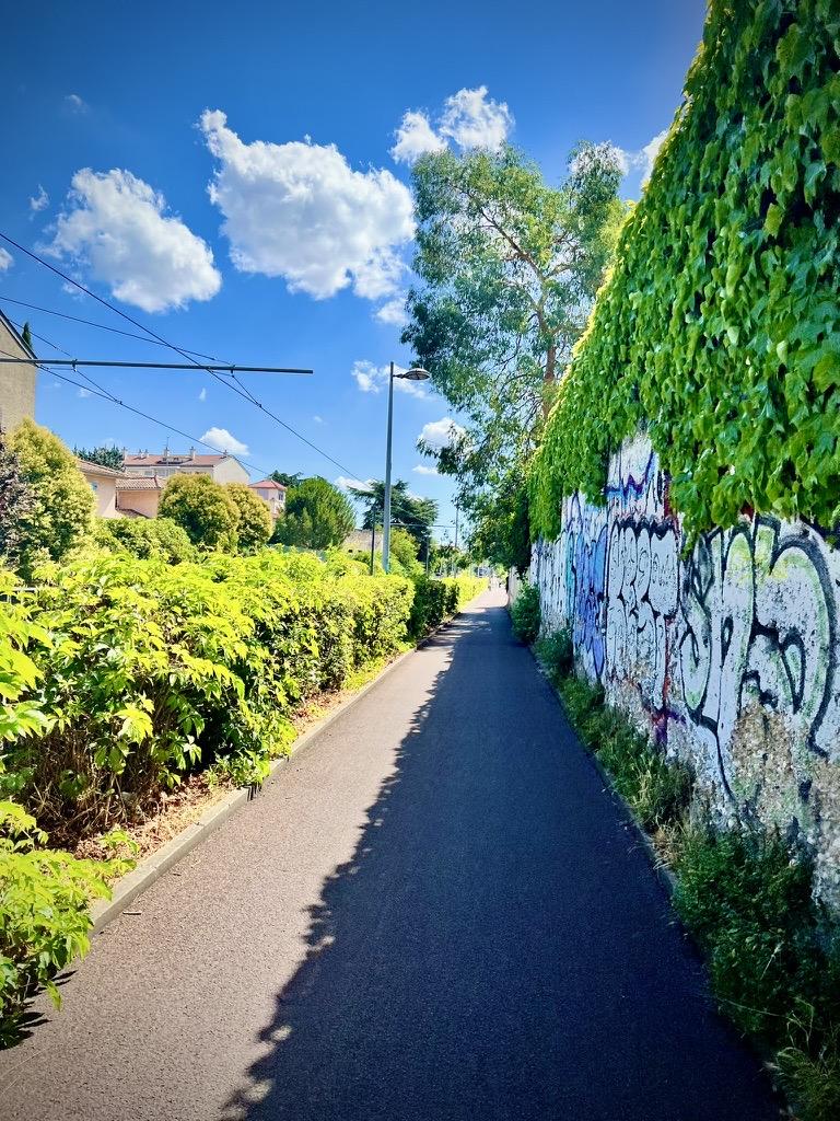 ‎⁨Lyon⁩, ⁨Auvergne-Rhône-Alpes⁩, ⁨France⁩

A narrow, paved path stretches into the distance, bordered by a neat green hedge on the left and a tall concrete wall covered in graffiti on the right. Vibrant green ivy drapes over the top of the wall, while a sharp shadow splits the path under a bright blue sky with fluffy white clouds.