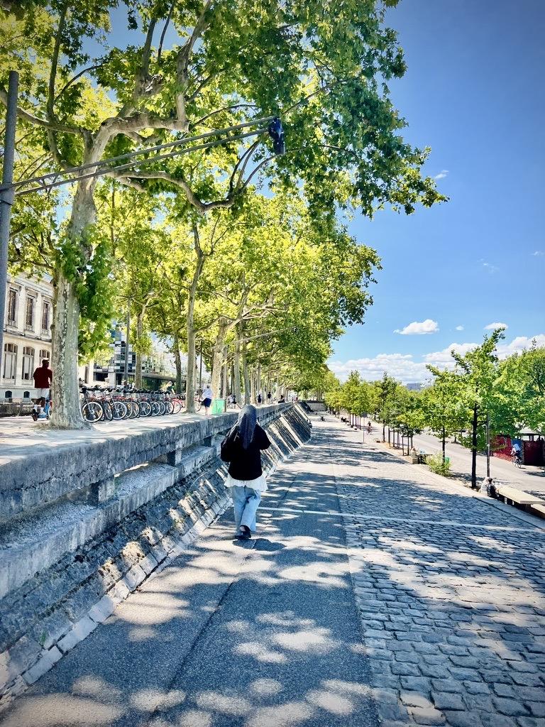 Quays of the Rhône, ‎⁨Lyon⁩, ⁨Auvergne-Rhône-Alpes⁩, ⁨France⁩

A person walks away from the camera down a wide riverside promenade paved with asphalt and cobblestones, shaded by dappled tree shadows. On the left, a raised stone embankment features a long row of parked rental bicycles and mature plane trees, under a bright blue sky on a sunny day.