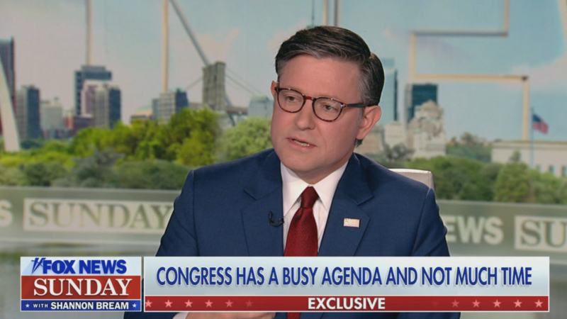 Speaker Mike Johnson on Fox news Sunday.