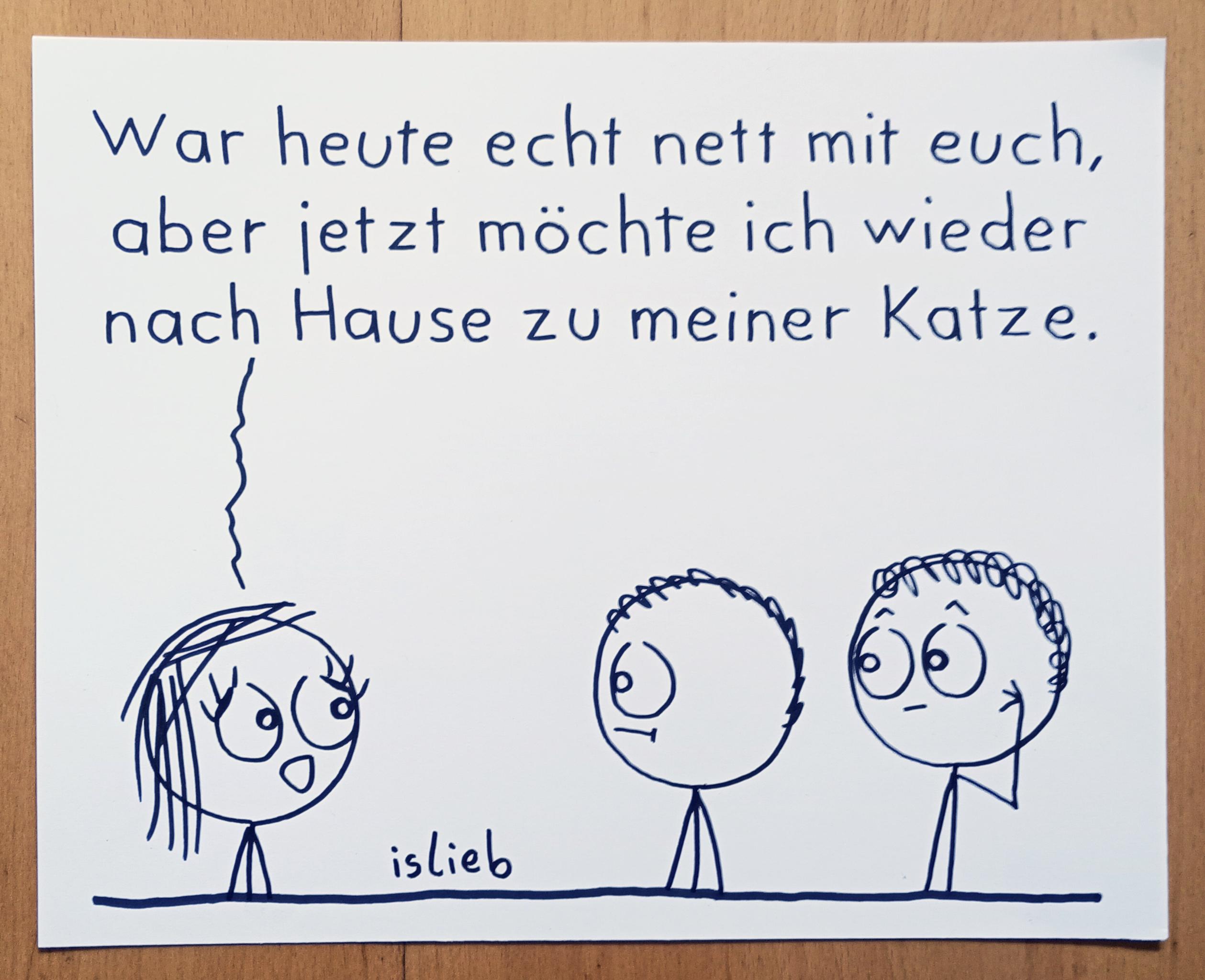 Ein schwarz-weißer Cartoon im Strichmännchen-Stil von islieb. Das Bild zeigt drei Figuren. Die Figur auf der linken Seite spricht zu den beiden anderen Figuren auf der rechten Seite, die etwas perplex oder überrascht dreinschauen. Die linke Figur sagt: „War heute echt nett mit euch, aber jetzt möchte ich wieder nach Hause zu meiner Katze.“