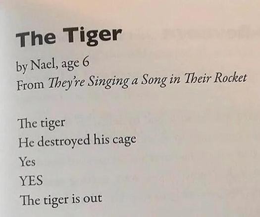 "The tiger
He destroyed his cage
Yes
YES
The tiger is out"
Poem by Nael, age 6