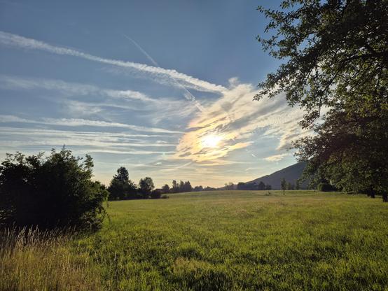This image captures a breathtaking and tranquil rural landscape at sunset or sunrise. The foreground is dominated by a lush, green meadow stretching out toward the horizon, its vibrant grass adding a sense of openness and natural beauty to the scene.
To the left, a cluster of trees and bushes frames the meadow, their dark green foliage contrasting with the lighter green of the grass. On the right, a large tree with a thick trunk and sprawling branches extends into the frame, its leaves catching…