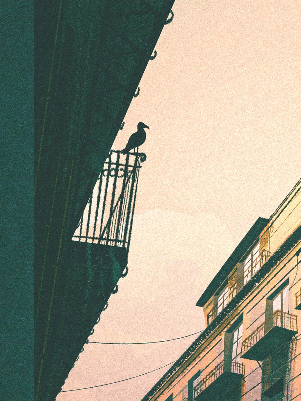 illustration of a the silhouette of a balcony in palermo sicity with a bunch of wrought iron balcony railings on a building on the opposite side of the street. we see a bird perched on the railing of the nearby balcony