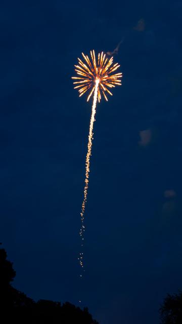 Vertically oriented 16:9 image showing sparkles following mortar as it bursts into numerous red/yelow streaks radiating out from explosion point with the dark outline of trees below and just a few smoke puffs under a dark blue sky