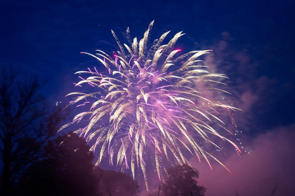 Very abstract and feather yellowish-white streaks of firerworks with red bits at the tip occasionally have a feathery texture with dark outlines of trees on the lower left and a big cloud of smoke to the lower right.
