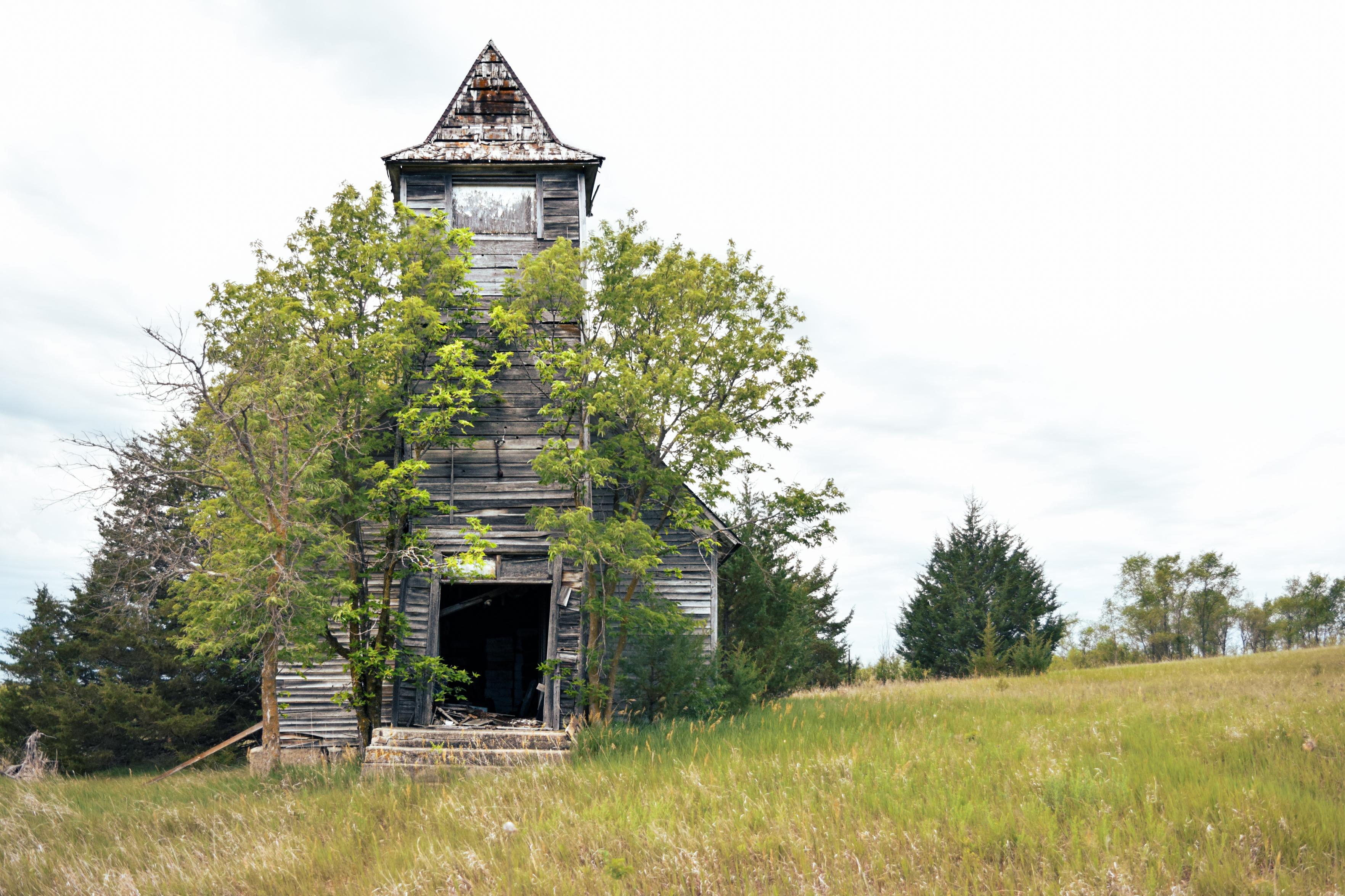 Old, weathered wooden church with a tall steeple, partially covered by green trees, stands in a grassy field under a cloudy sky, conveying abandonment.