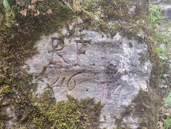Am bemoosten Felsen der zwischen Mond- und Fuschlsee gelegenen Ruine Wartenfels angebrachte Inschrift "RF", darunter "46", rechts "14".