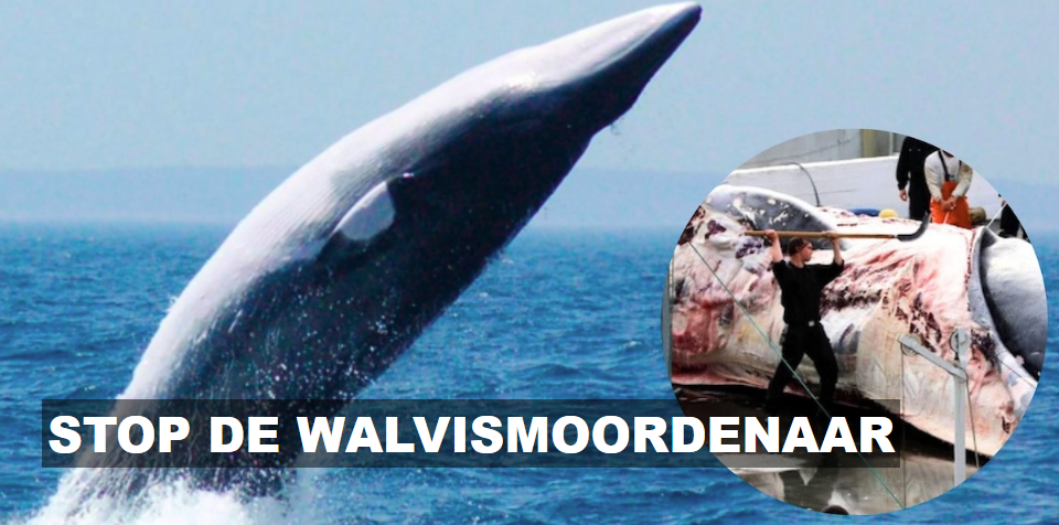 Stop de walvismoordenaar