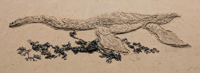 Sand art depicting a marine reptile (Plesiosaurus).