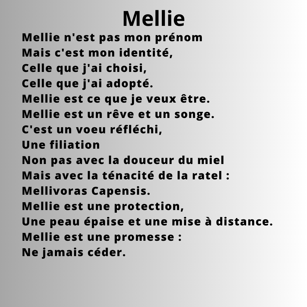 Mellie n'est pas mon prénom
Mais c'est mon identité,
Celle que j'ai choisi,
Celle que j'ai adopté.
Mellie est ce que je veux être.
Mellie est un rêve et un songe.
C'est un voeu réfléchi,
Une filiation
Non pas avec la douceur du miel
Mais avec la ténacité de la ratel :
Mellivoras Capensis.
Mellie est une protection,
Une peau épaise et une mise à distance.
Mellie est une promesse :
Ne jamais céder.