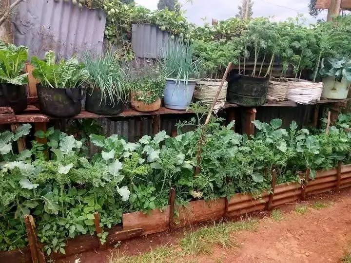 Vegetables on the ground containing lots of vegetables