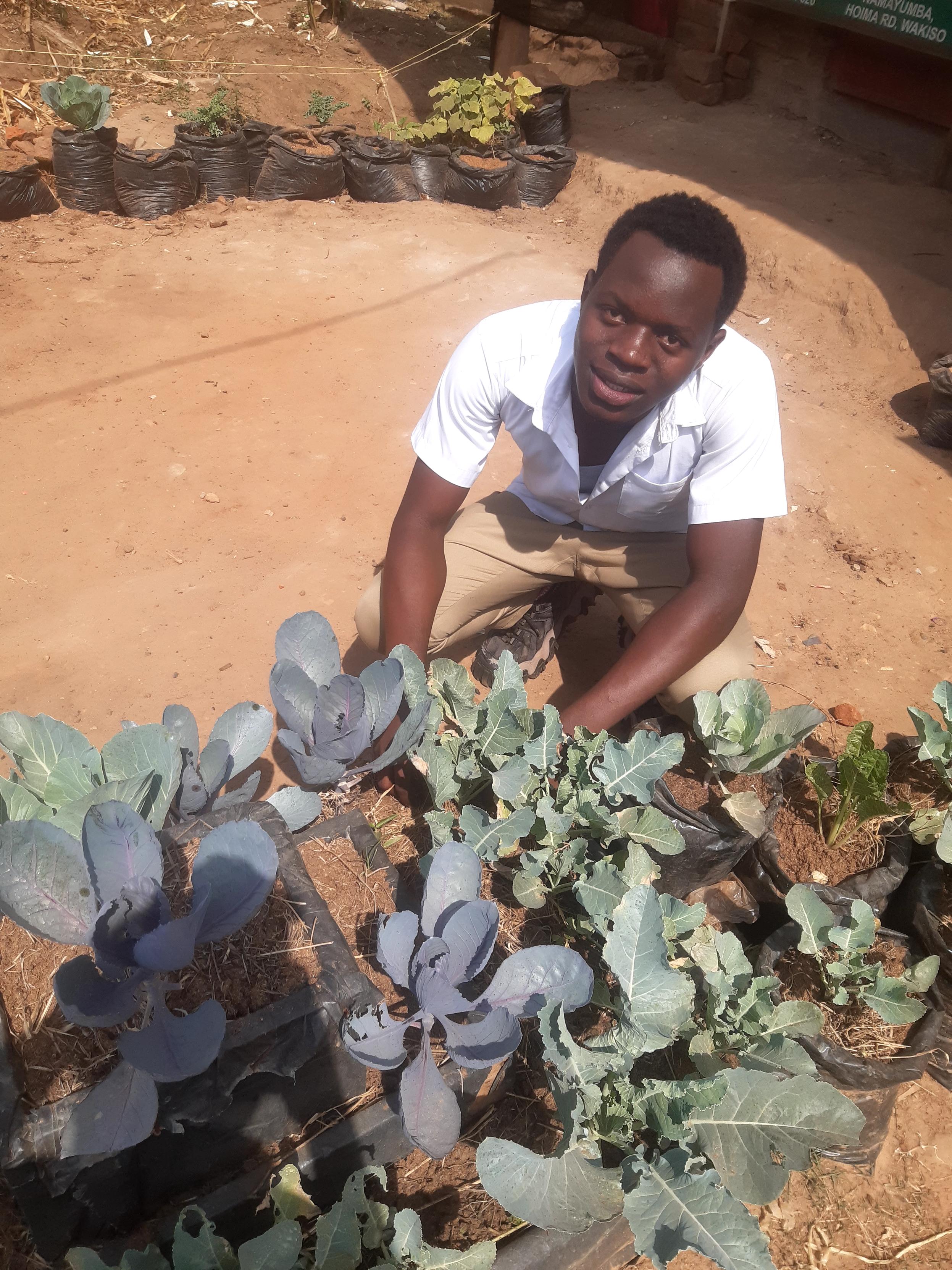 I was smiling touching the brassica