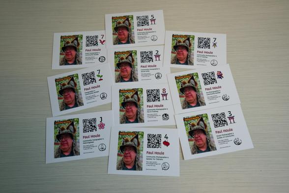 10 cardds laid out overlapping on a table each with two panels,  on the left a picture of a man with a boonie cap with a pair of fox ears that seem to be built into the hat (but are really worn over the hat!) and on the left a QR code a number and symbol like a tori gate or a flower except for a cute little chibi of tamamo-no-mae!
