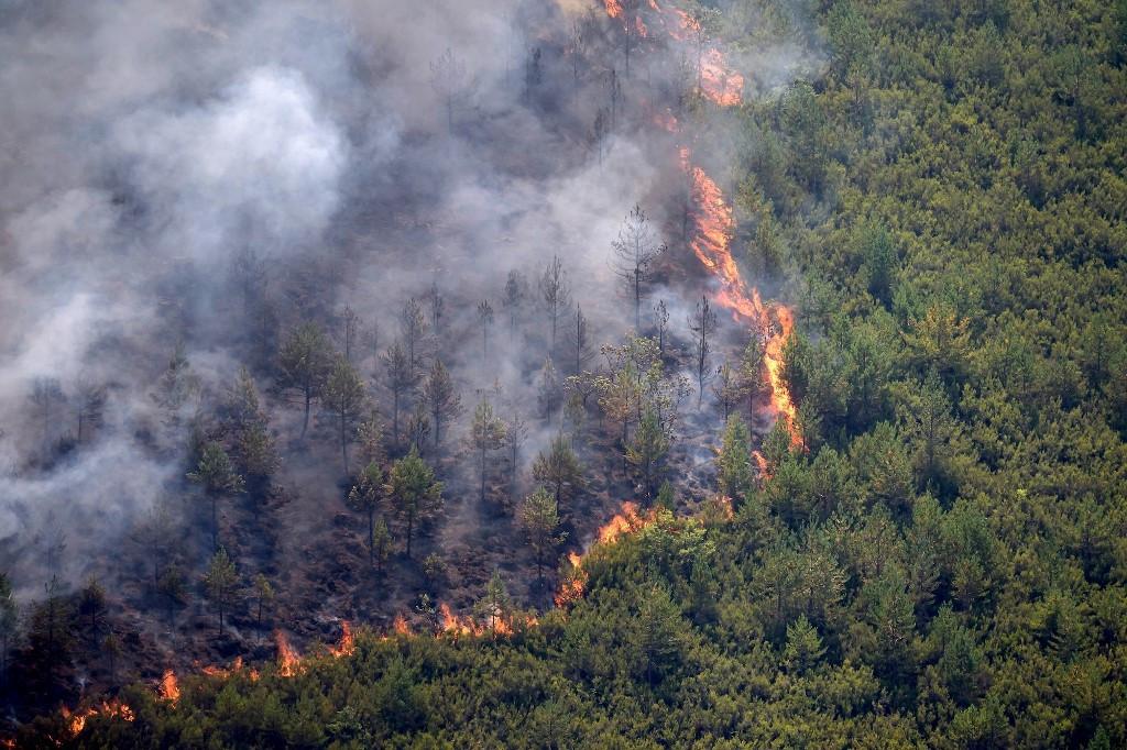 ⚡Twelve people have died in a forest fire in #Spain 🇪🇸. The fatalities occurred as a persistent heat wave continues to exacerbate wildfire conditions across southern #Europe 🇪🇺. [444]Check back for developments as they come