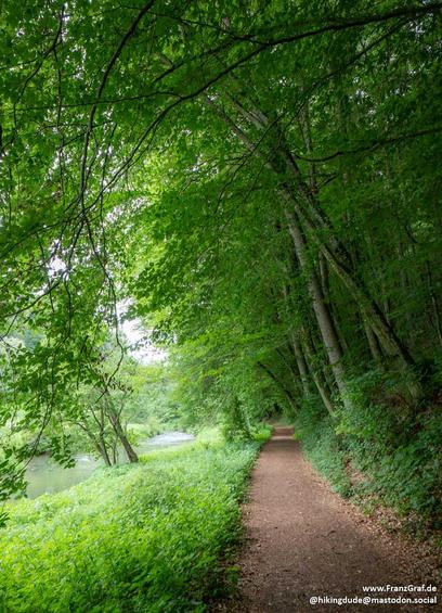 This image captures a serene and inviting forest path, evoking a sense of tranquility and natural beauty. A dirt trail, slightly uneven and covered in fallen leaves, winds its way through the lush greenery. The path is flanked by tall trees with dense canopies, their vibrant green leaves creating a natural tunnel that filters the sunlight, casting dappled light and shadow on the forest floor.
To the left of the path, a small stream or river is visible, its calm waters reflecting the surrounding…
