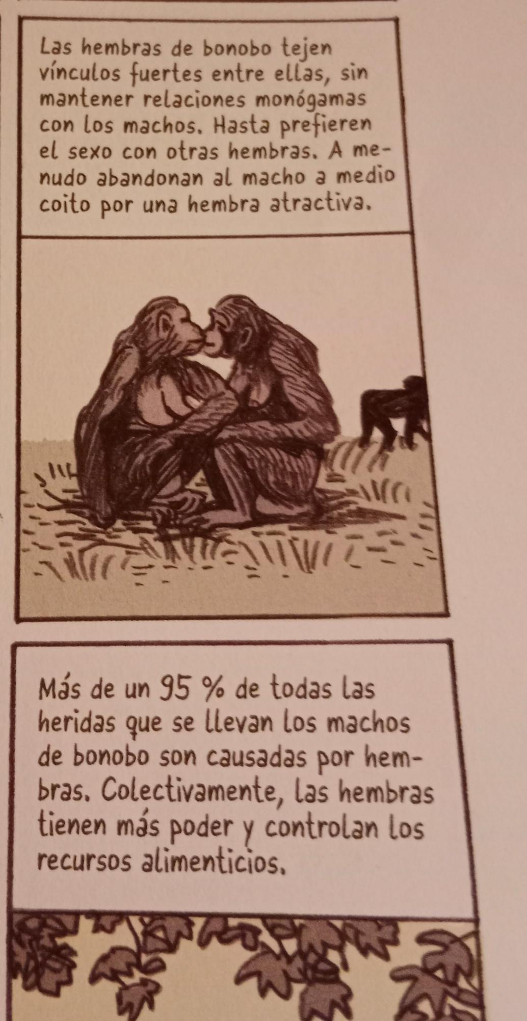 Un pedazo del libro "La mujer como lo humano" en donde aparece una viñeta con 2 bonobas besandose y un texo areiba q dice
" Las hembras de bonobo tejen vinculos fuertes entre ellas, sin mantener relaciones monógamas con los machos. Hasta prefieren el sexo con otras hembras. A menudo abandonan el macho a medio coito por una hembra atractiva"
Abajo otro texto dice
"Mas de un 95% de todas las heridas q se llevan los machos del bonobo son causadas por hembras. Colecgivamente, las hembras tienen más poder y controlan los recursos alimenticios"