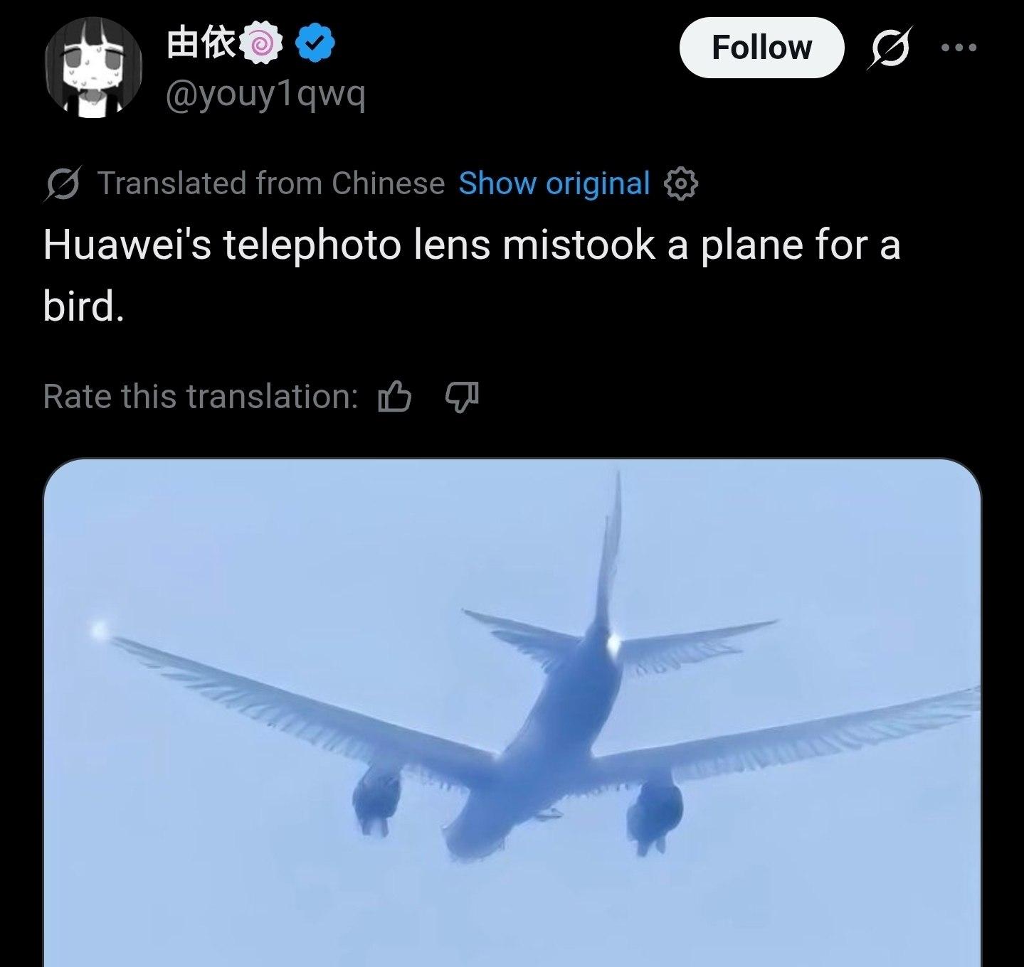 A photo tagged 'Huaweis telephoto lens mistook a plane for a bird'

It shows a plane, but has been altered by image AI to look more like a bird. The wings have feathers, for instance