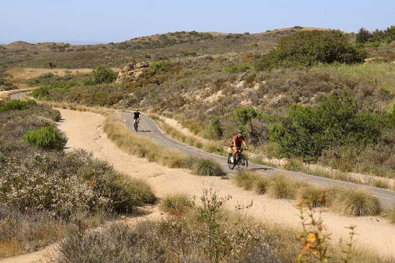 Fatal Rattlesnake Bite in Orange County Sparks Safety Concerns When Hiking