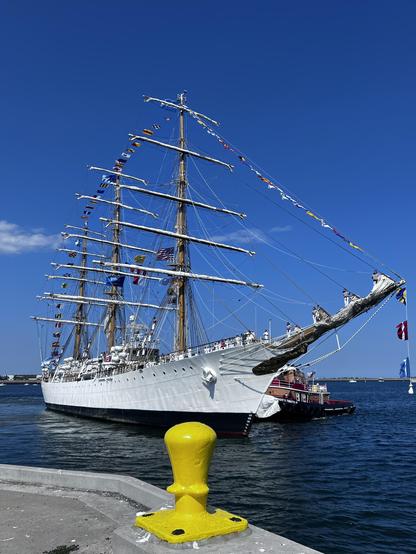 Close-up picture of the Libertad a  being 