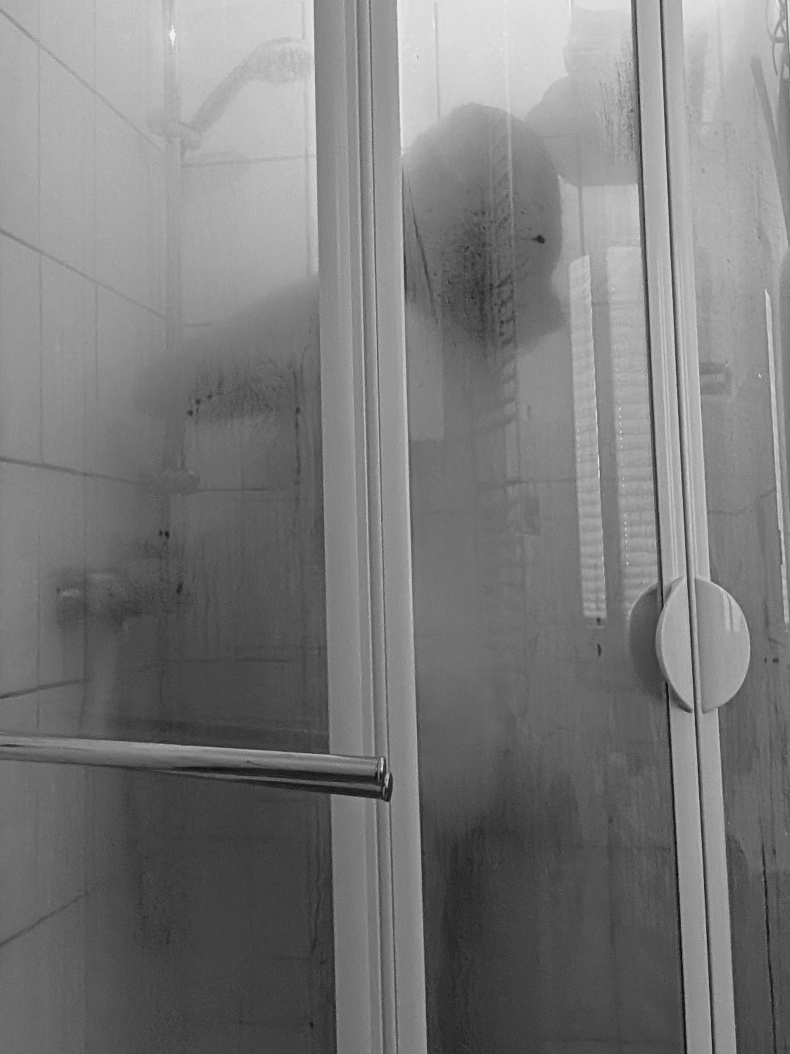The subject is voyeurism. This is a black and white photo of a woman in the shower. The cubicle is so steamed up, her body is hard to make out. She has her back to the camera, and you can see had dark shoulder length hair, and you can just about make out her bum.