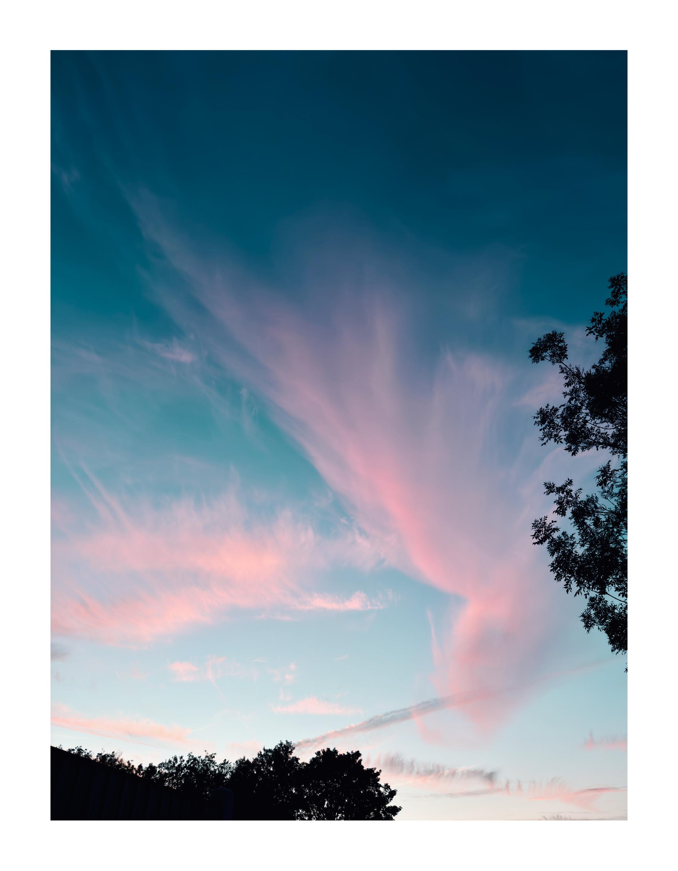 A dramatic pink and blue sky at dusk with silhouetted trees in the foreground.