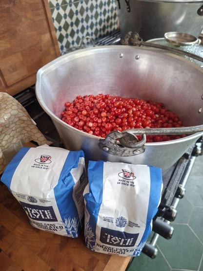 Jam pan containing 1400g of redcurrant and 700g of raspberries,  next to 2kg granulated sugar.