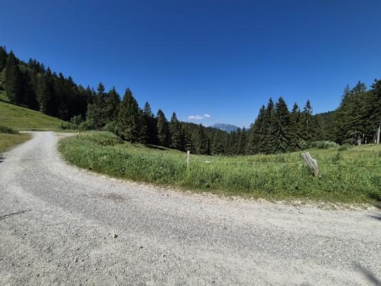 This image captures a serene and inviting rural landscape, evoking a sense of tranquility and natural beauty. A gravel path, slightly uneven and bordered by lush green grass, stretches into the distance, inviting the viewer to imagine a peaceful walk or bike ride. The path is flanked by vibrant meadows filled with tall grass and scattered wildflowers, adding texture and color to the scene.
In the background, a dense forest of evergreen trees rises, their dark green foliage creating a natural bo…