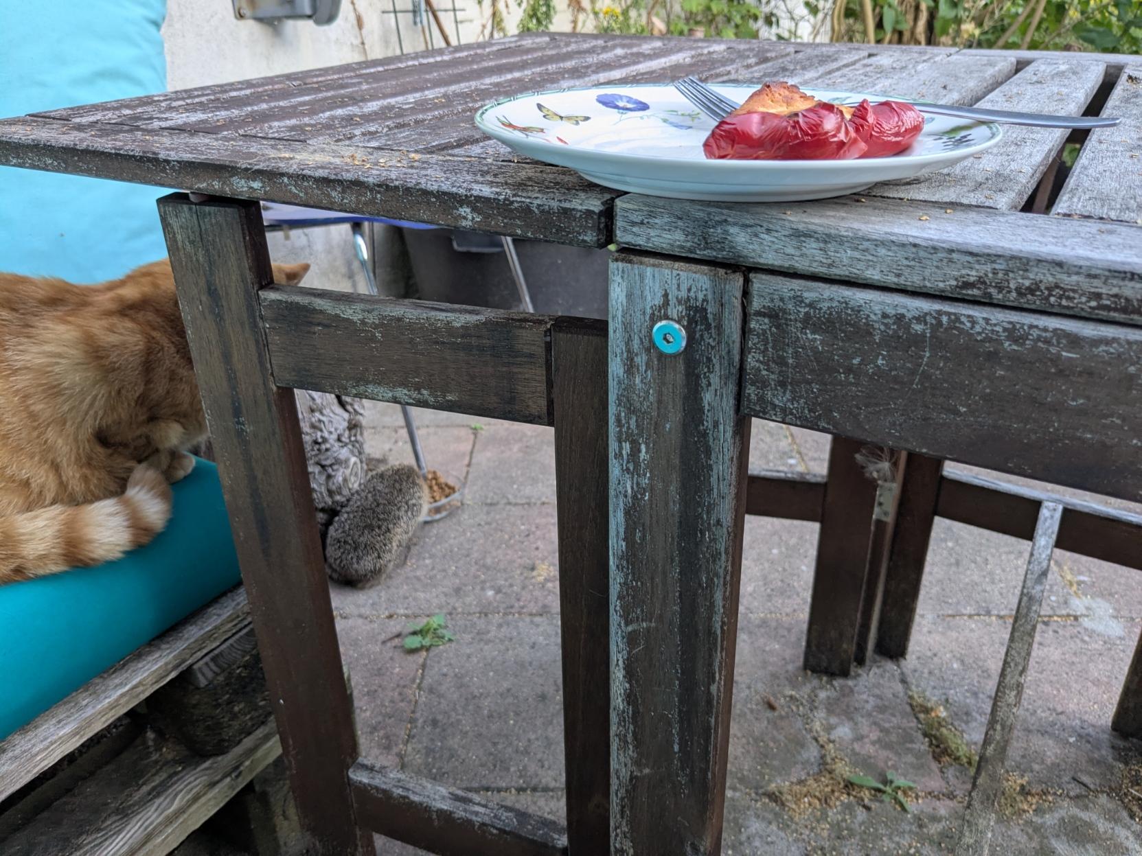 Houten tuintafel met daarop een bord met paprika uit de oven. Naast de tafel zit een ridder kater op de turquoise bank. En onder de tafel eet een egel het kattenvoer op.