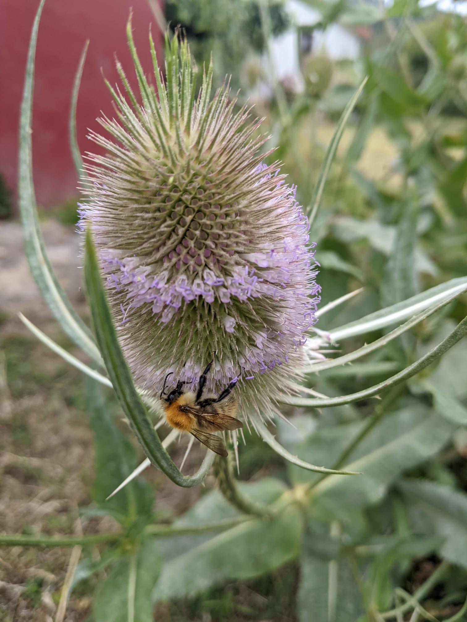 Posted media