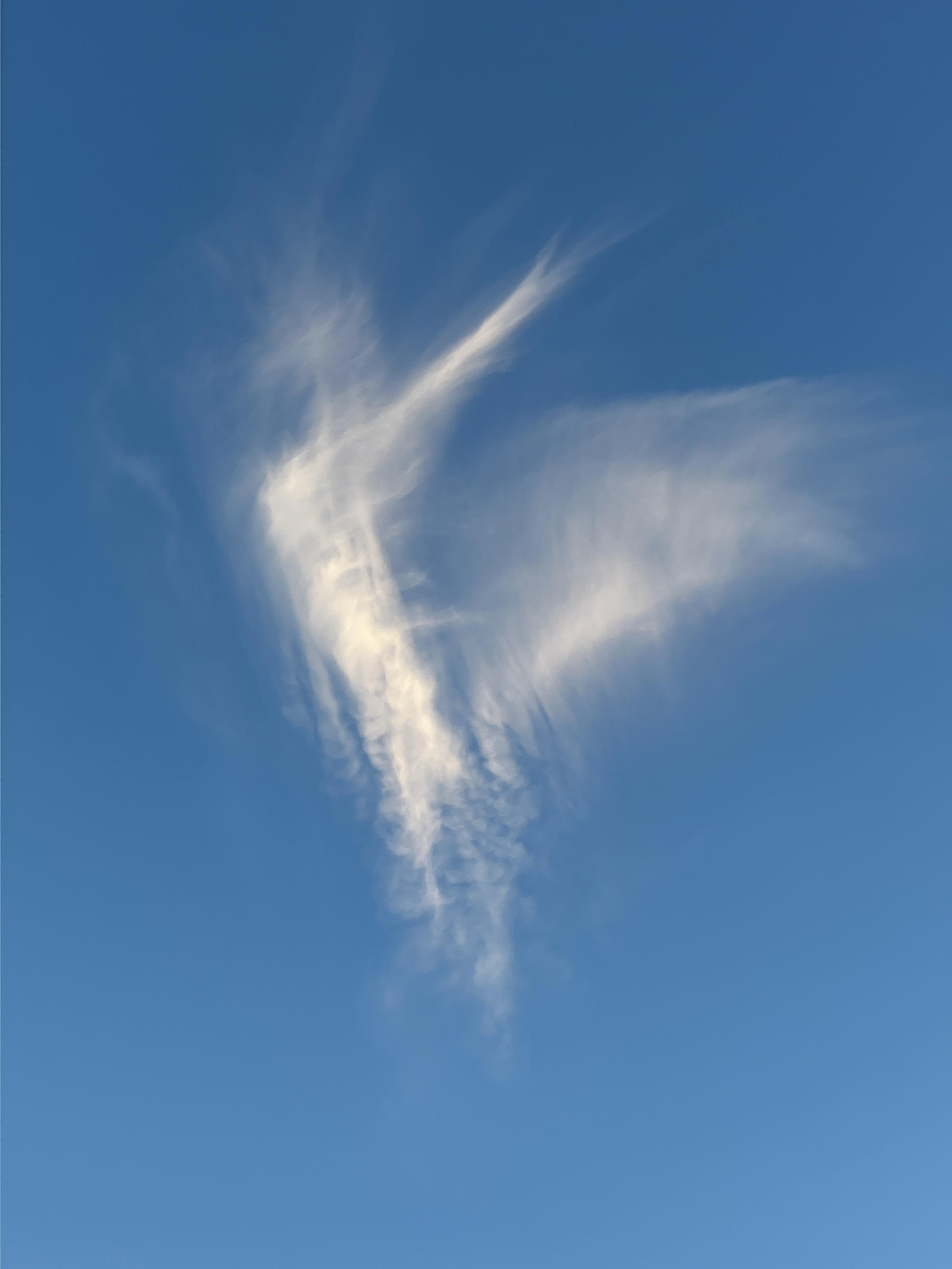 Nuage en forme d’oiseau sur ciel bleu intense