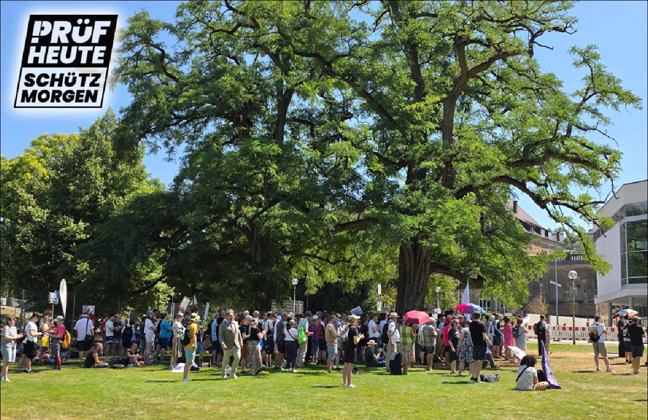 Du siehst den großen, mächtigen Baum links von der Bühne. In der Affenhitze war es für Viele direkt vor der Bühne zu heiß. Aber im Schatten unter dem Baum konnte unser tolles Programm auch verfolgt werden.
Oben links ist das Logo von PRÜF
"PRÜF
HEUTE
SCHÜTZ
MORGEN"
Das "P" von PRÜF besteht aus einem Ausrufezeichen und einem passenden Bogen am oberen Ende.