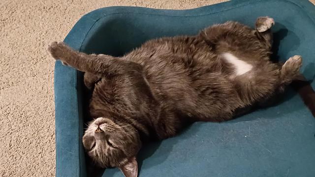 Posted media