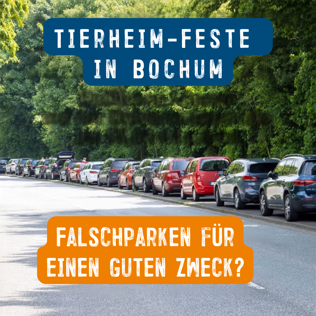 Autos, die auf einem Hochbord abgestellt sind.

"Tierheim-Feste in Bochum"
"Falschparken für einen guten Zweck?"
