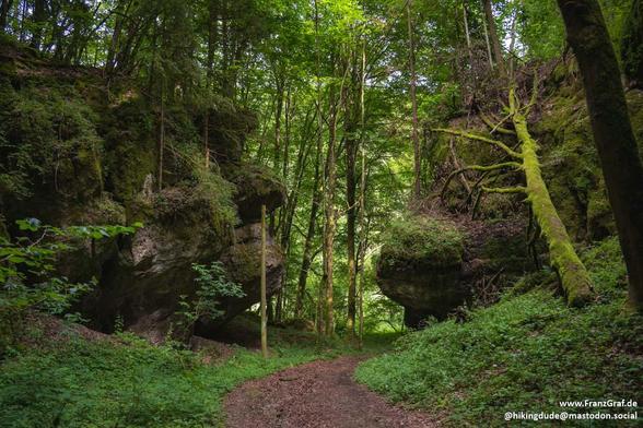 This image captures a mystical and enchanting forest scene, evoking a sense of adventure and natural wonder. A narrow, winding dirt path cuts through the dense woodland, inviting the viewer to imagine exploring its depths. The path is flanked by towering trees, their trunks covered in patches of vibrant green moss, adding texture and a sense of age to the forest.
The forest floor is a lush carpet of green vegetation, including ferns, grasses, and low-lying plants, creating a rich and vibrant ta…