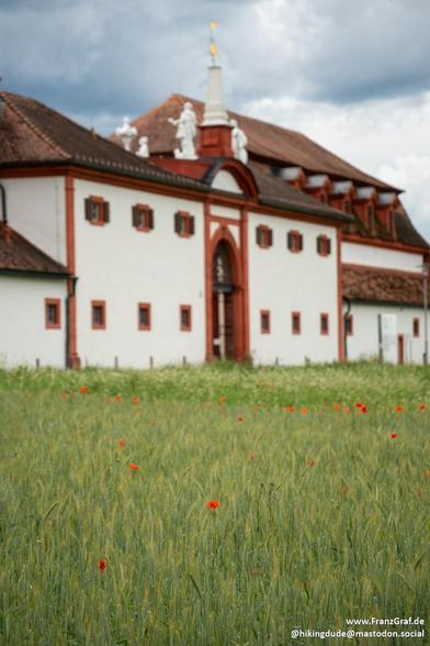 This image captures a picturesque and serene scene featuring a historic building, likely a monastery or church, set against a lush, natural backdrop. The building is characterized by its white walls with red trim, a steeply pitched red roof, and an arched entrance. Atop the roof, there are statues of religious figures, adding a sense of grandeur and historical significance to the structure.
In the foreground, a vibrant meadow stretches out, dotted with red poppies and other wildflowers. The con…