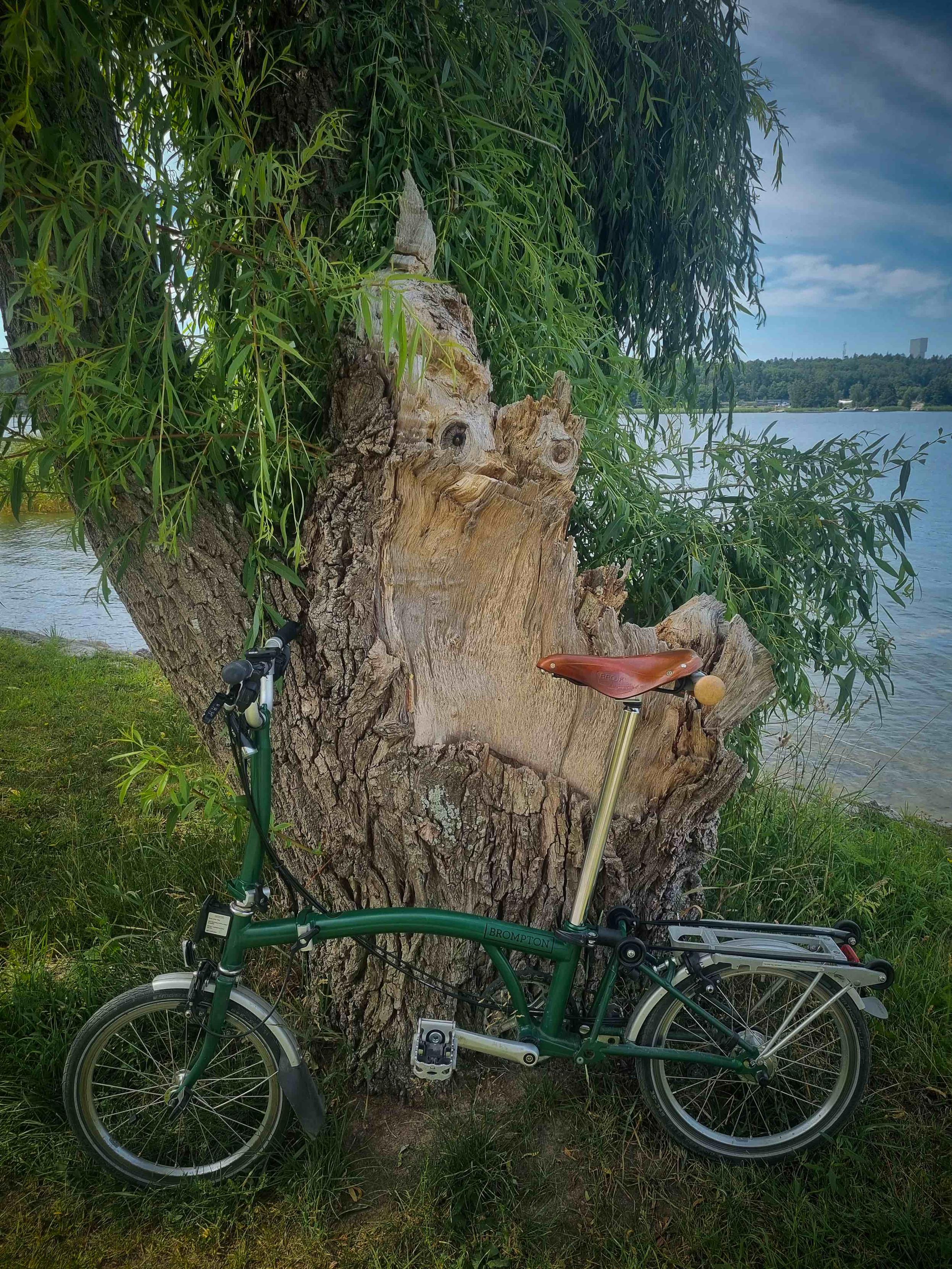 A folding bike leaning towards a tree next to a lake. The trunk appears to have a kind of a face with eyes, mouth, and ears.