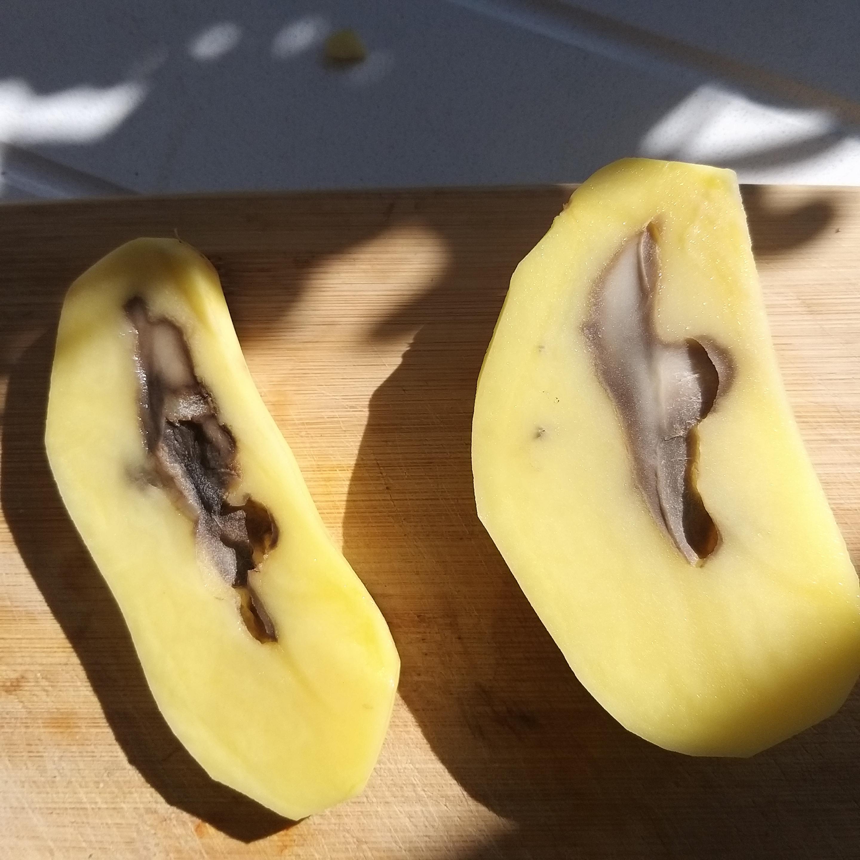 A potato sliced open. The centre shows an area of rotting and necrosis.