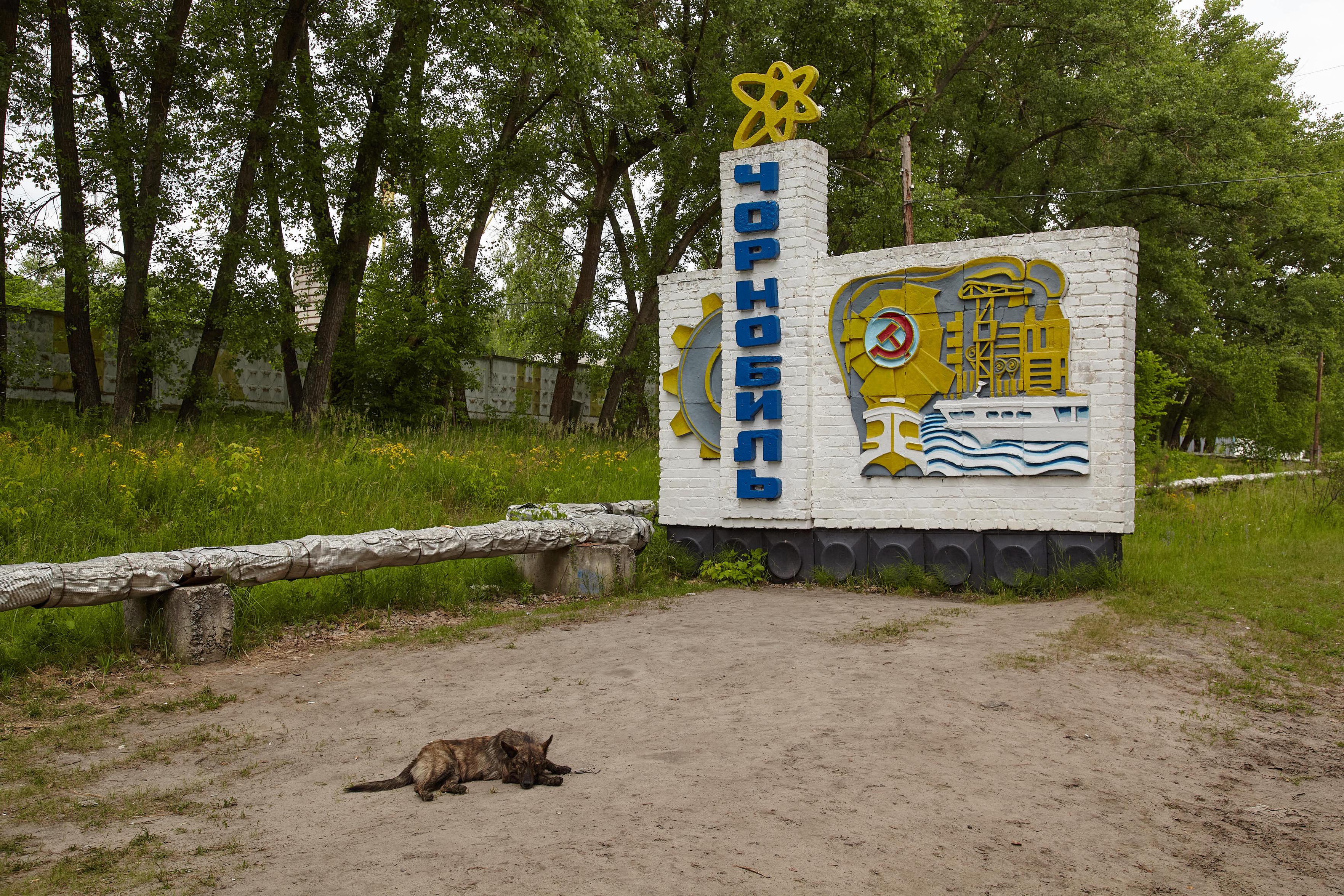 A stray dog lies on sandy ground before Chornobyl's Soviet-era town sign, painted with an atom, gear, ship and hammer-and-sickle.