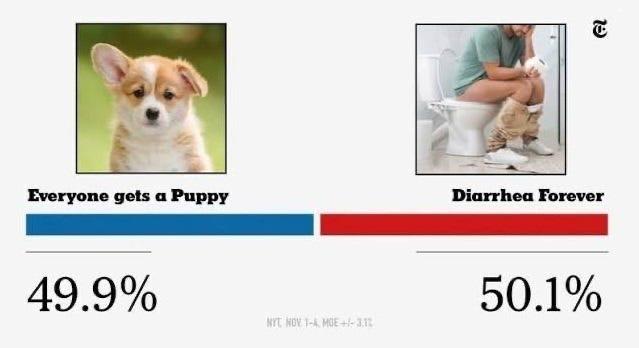 Everyone gets a puppy vs diarrhea forever meme