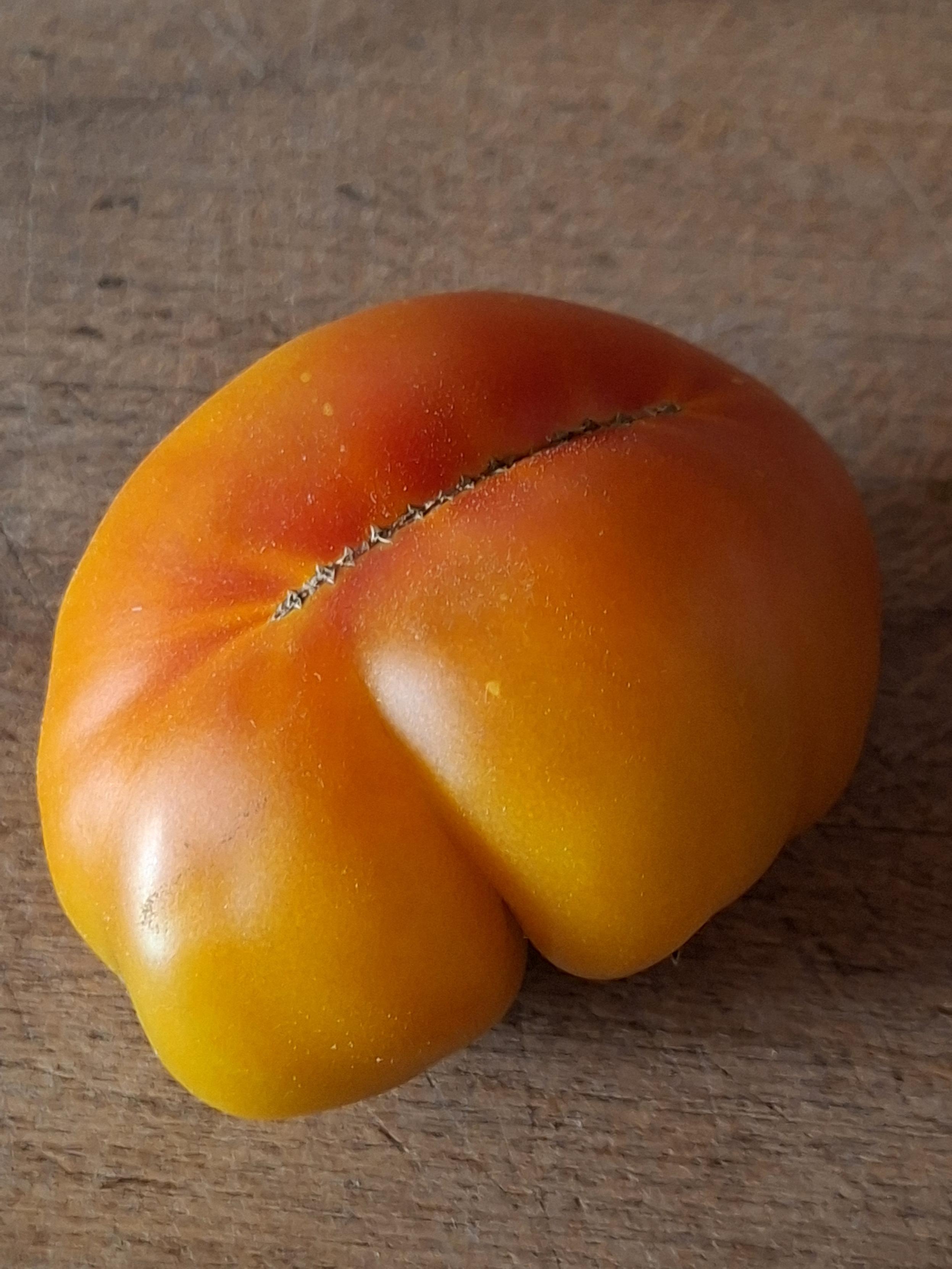 Die Rückseite einer orange-rot-gelben, flachrunden, stark gerippten Tomate der Sorte Annamar auf Holz.