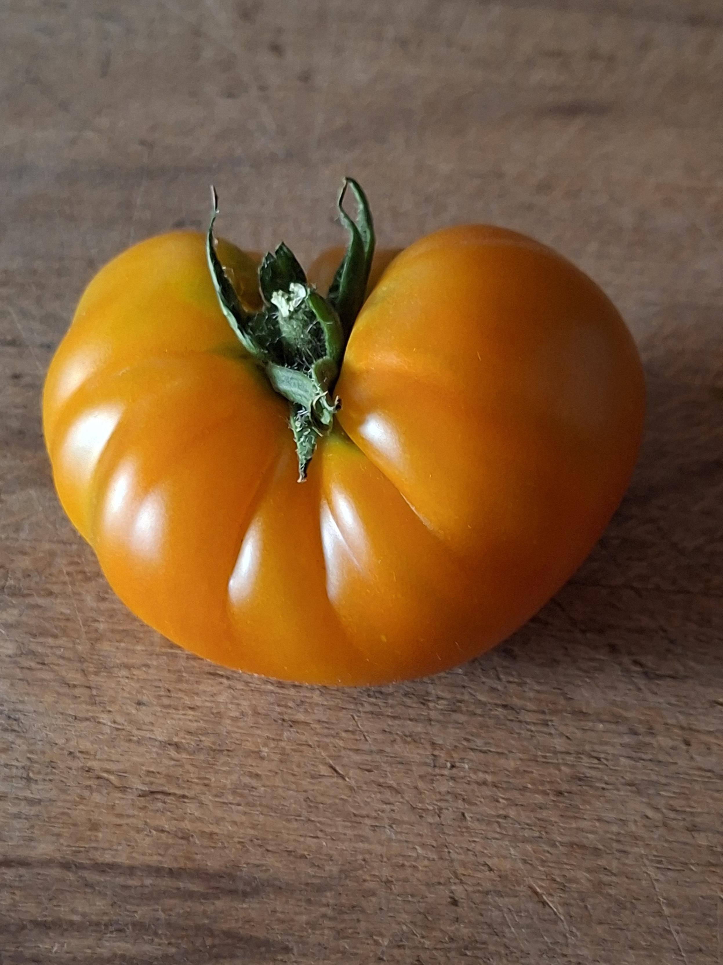 Die selbe Annamar-Tomate, Oberseite.