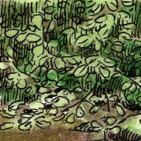 Cambron-Casteau. Dendre orientale. Dessin détail